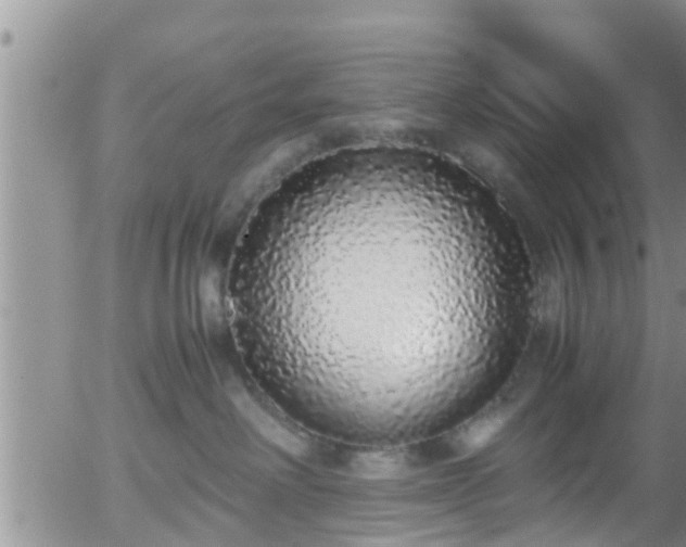 X0000058110238200509261244