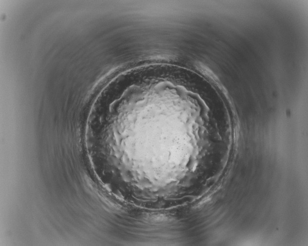 X0000058110249200509261243