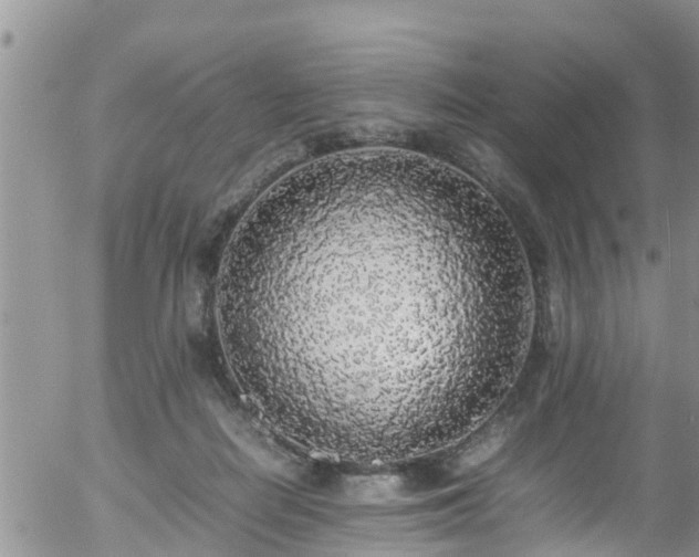 X0000058110266200509261243