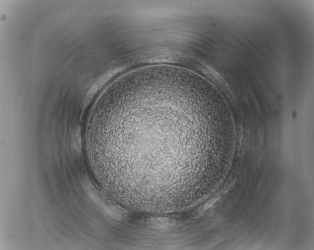 X0000058110298200509261243