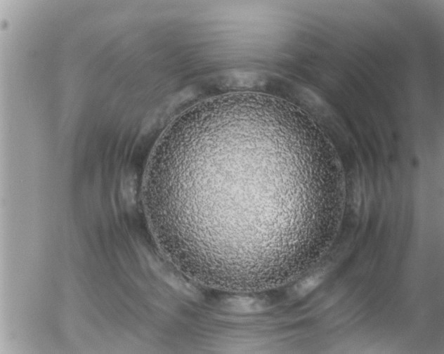 X0000058110326200509261242