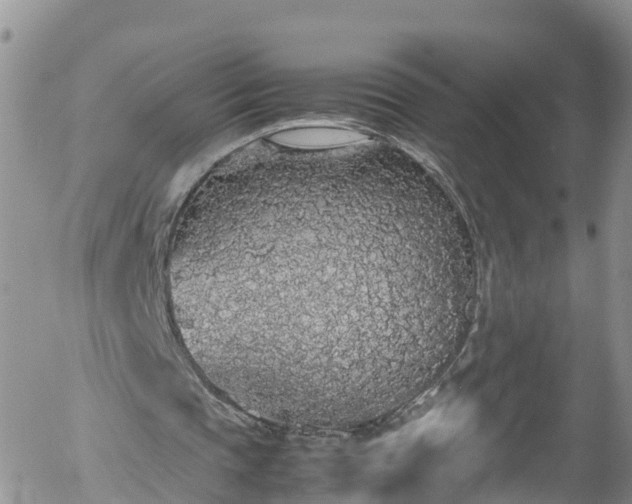 X0000058110337200509261241