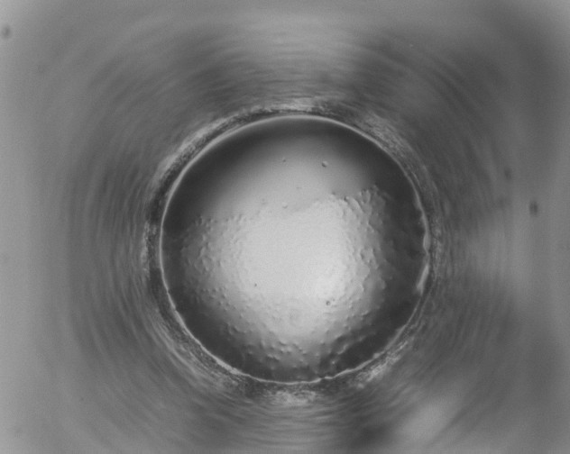 X0000058110346200509261241