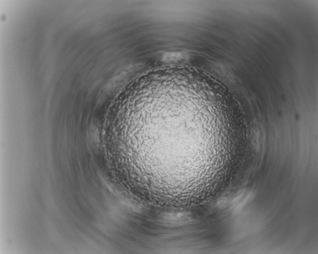 X0000058110375200509261242