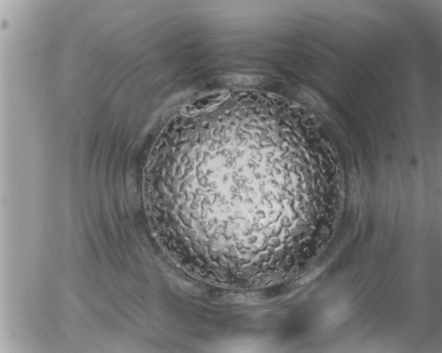 X0000058110377200509261242
