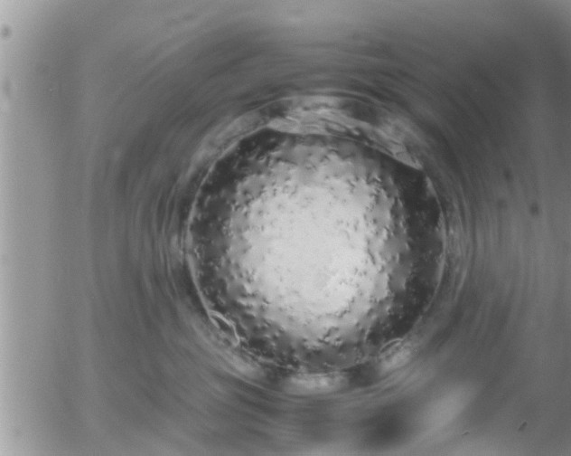 X0000058110381200509261242