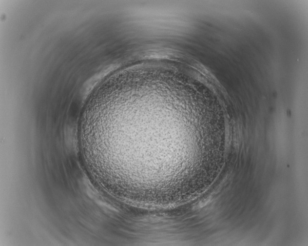 X0000058110386200509261241