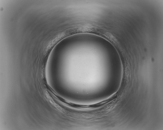 X0000058110393200509261241