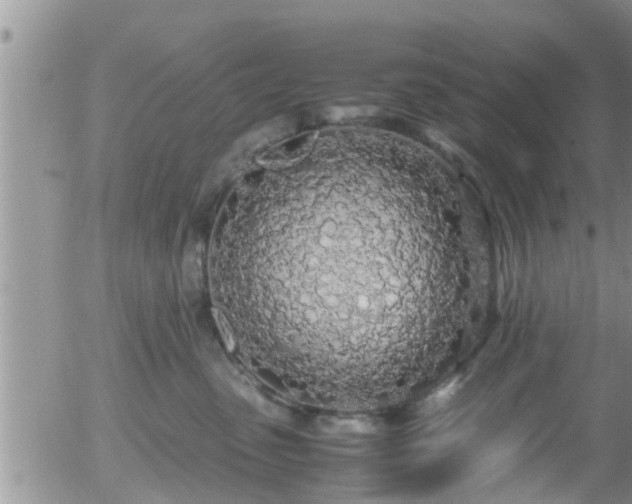 X0000058110475200509261240