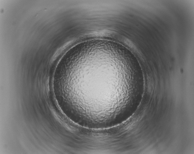 X0000058110486200509261239