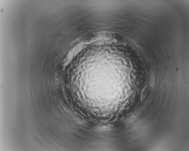 X0000058110569200509261239