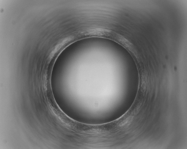 X0000058110578200509261238