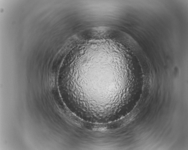 X0000058110602200509261237
