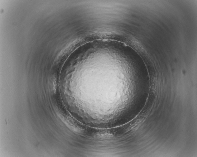 X0000058110644200509261237