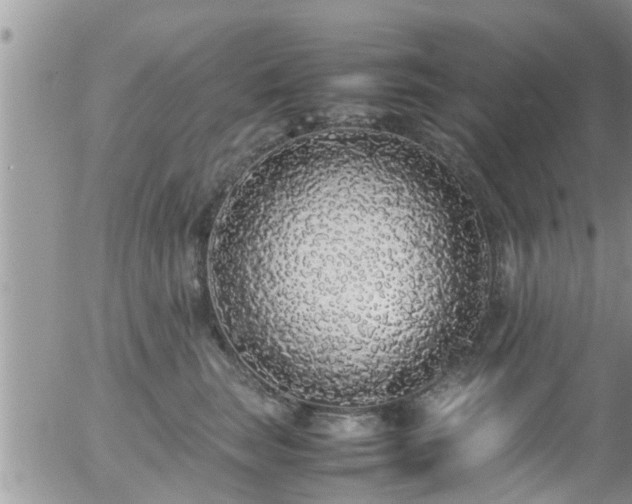 X0000058110663200509261237