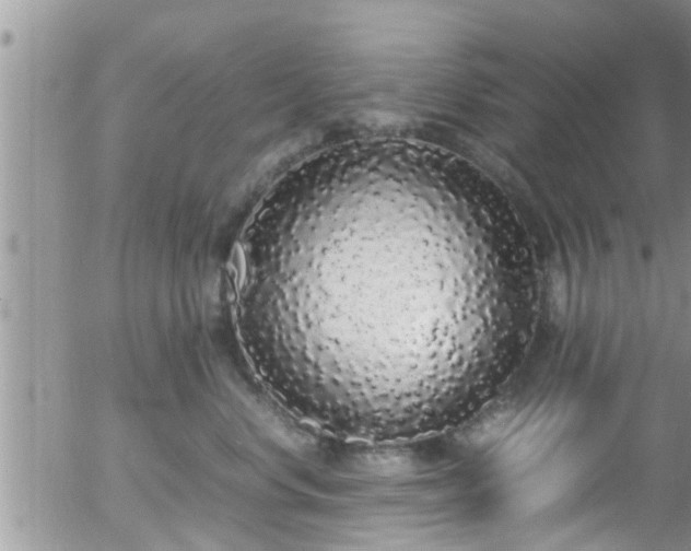 X0000058110668200509261237