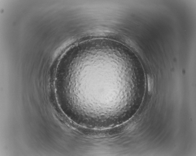 X0000058110675200509261236