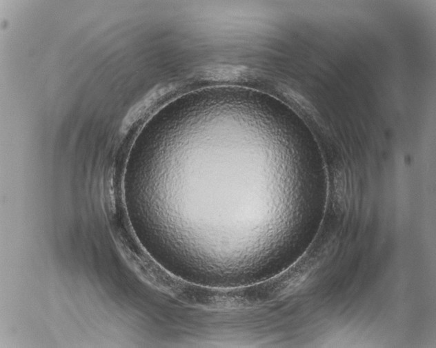 X0000058110682200509261236