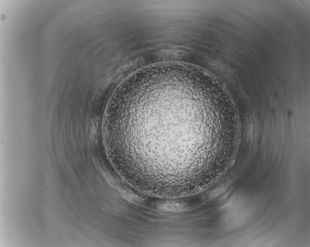 X0000058110759200509261235
