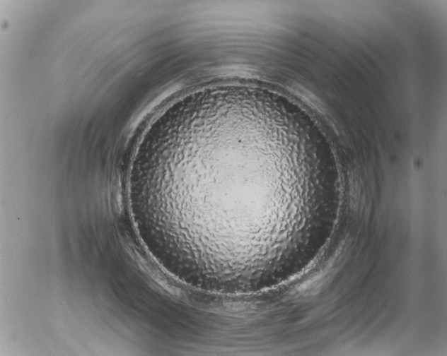 X0000058110782200509261234