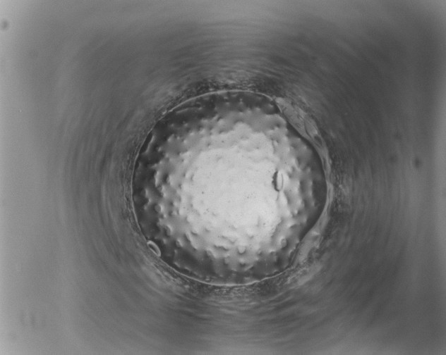 X0000058110817200509261233