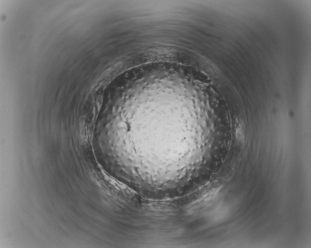 X0000058110819200509261233