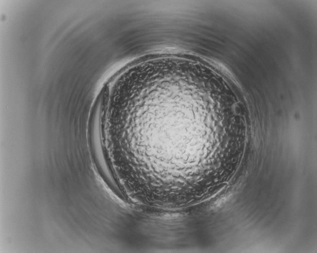 X0000058110839200509261233