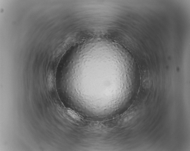 X0000058110866200509261233