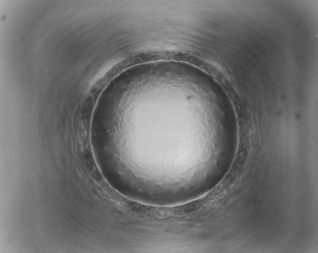 X0000058110871200509261233