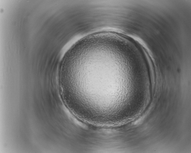 X0000058110910200509261232