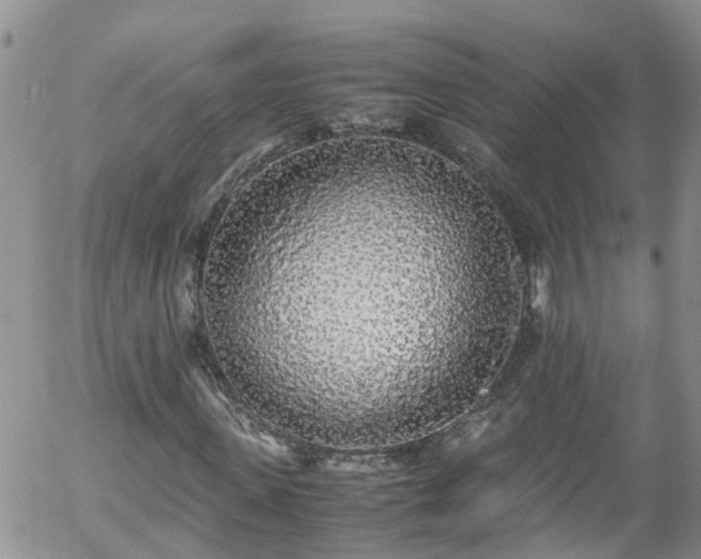 X0000058110915200509261231