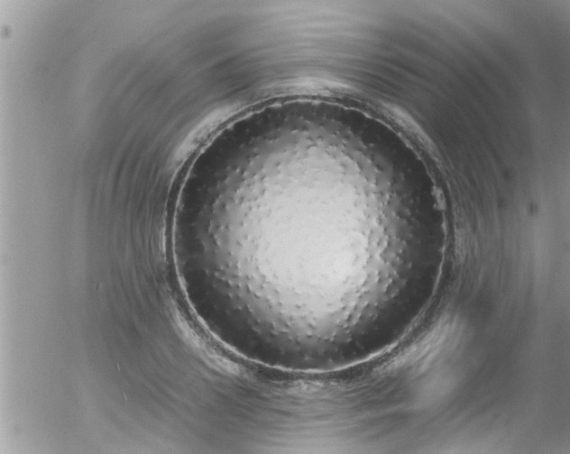 X0000058110938200509261232