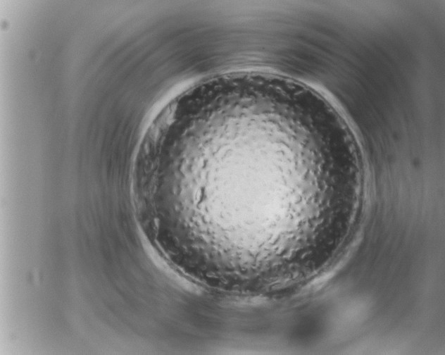 X0000058110957200509261232