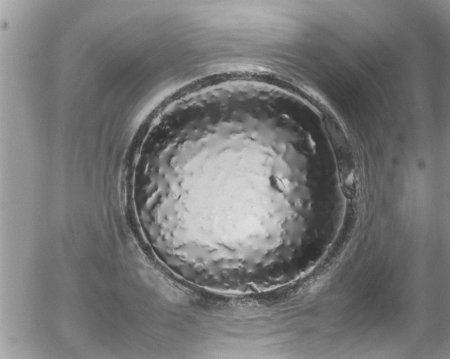 X0000058110983200509261231
