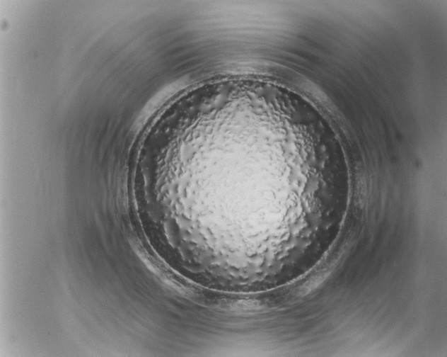 X0000058110986200509261231