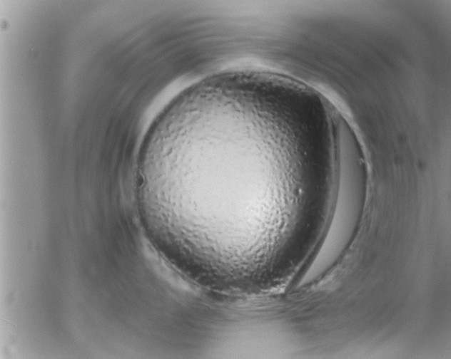 X0000058111008200509261230