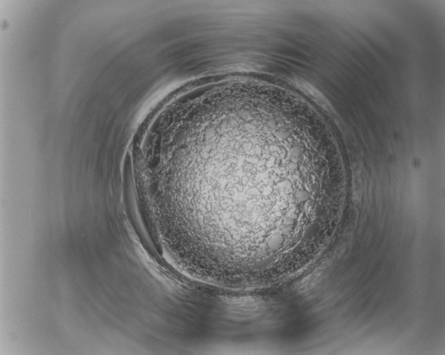 X0000058111031200509261230