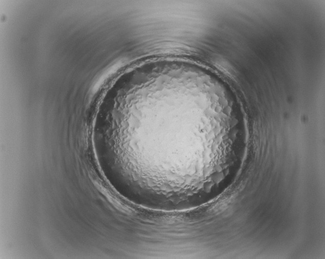 X0000058111067200509261229