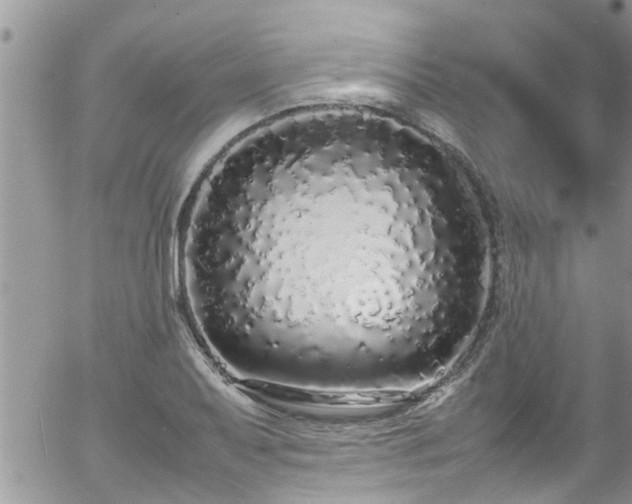 X0000058111079200509261229