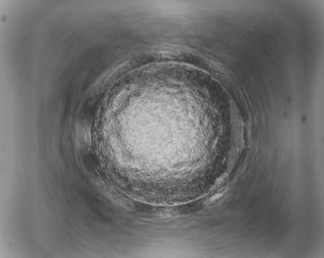 X0000058111155200509261228