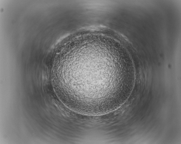 X0000058111158200509261228