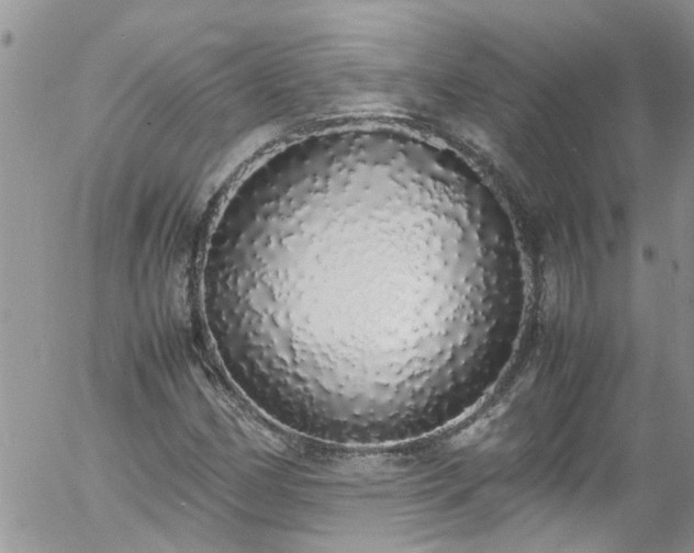 X0000058111162200509261228