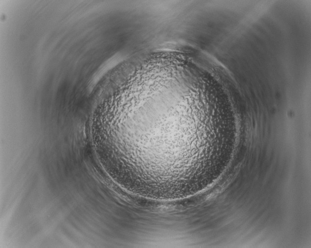X0000058111166200509261228