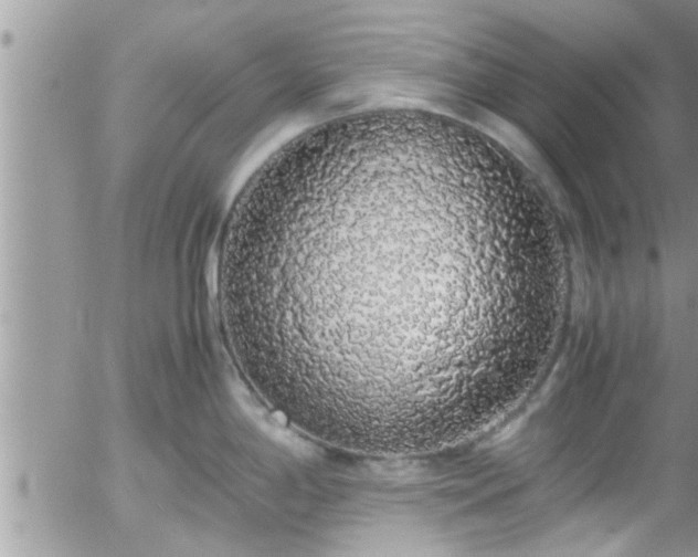 X0000058111198200509261227