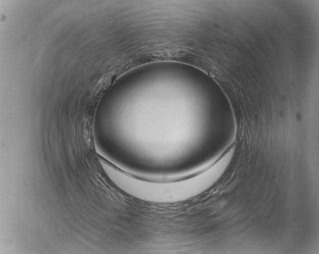 X0000058111202200509261226