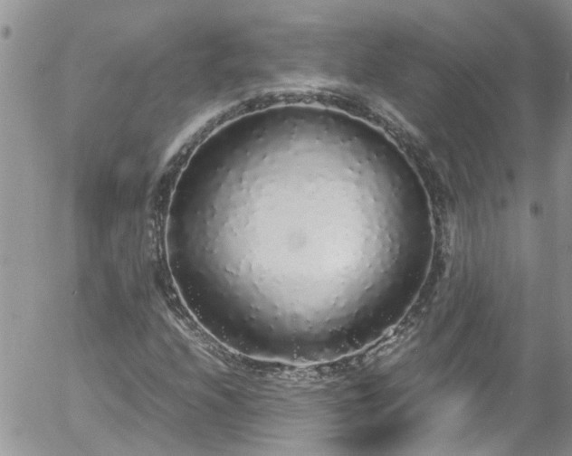X0000058111208200509261227