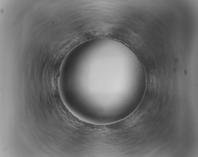 X0000058111250200509261226