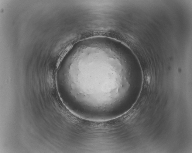 X0000058111252200509261226