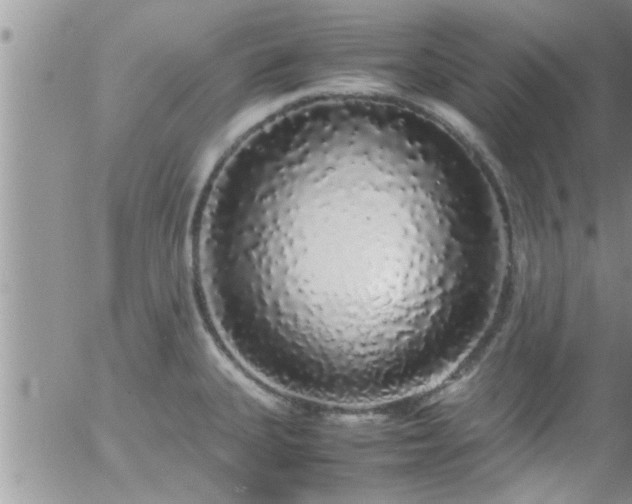 X0000058111335200509261225