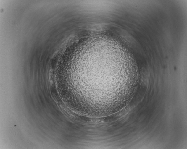 X0000058111346200509261225